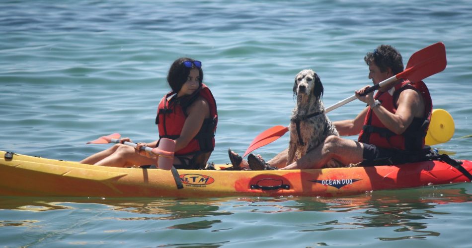 ALGARVE-MOMENTS-WATERSPORTS (14)
