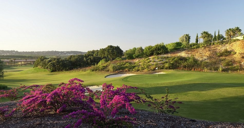 ALGARVE-O'CONNER-JNR (2)