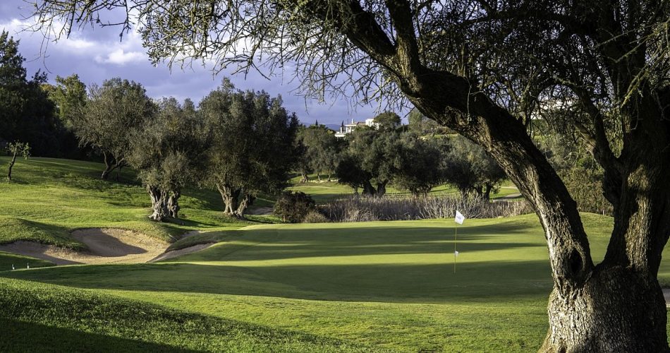 ALGARVE-VALE-DA-PINTA-COURSE (6)