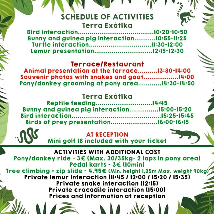 crazy-world-Horarios-activity-2025
